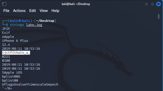 TJCTF 2022 Fake Geoguessr